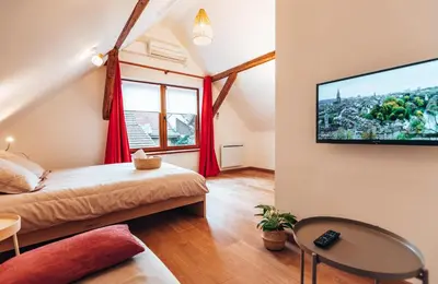 Télévision ou salle de divertissement dans l'établissement Aux Cerfs des Vignes - L'annexe