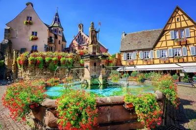 Jardin de l'établissement Le cépage, au coeur des vignes.