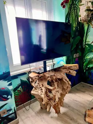 Télévision ou salle de divertissement dans l'établissement Avataar - L'arbre de Pandoraa