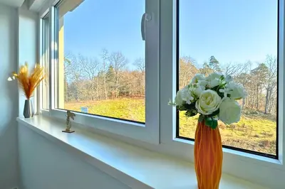 Plan de l'établissement La forêt Enchantée - Cozy Immo