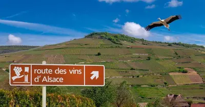 Paysage naturel près de l'appartement