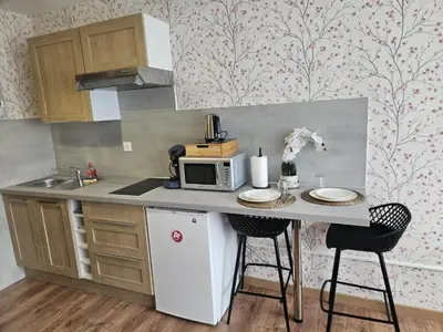 Cuisine ou kitchenette dans l'établissement Studio Le Belvédère TURCKHEIM