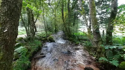 Paysage naturel près de la maison de vacances