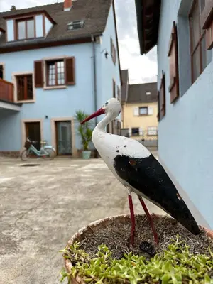 Bâtiment de l'appartement