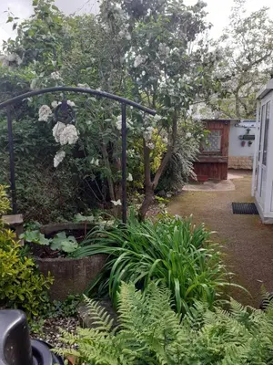 Jardin de l'établissement Coquet appartement 6 personnes avec jardin
