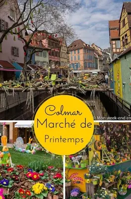 Certificat, récompense, panneau ou autre document affiché dans l'établissement La Tour du Bois fleuri