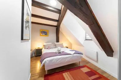 Un ou plusieurs lits dans un hébergement de l'établissement Les Lionceaux, 120m2 à Colmar, place de parking gratuite