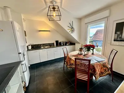 Cuisine ou kitchenette dans l'établissement A2 pas de Colmar terrasse,parking