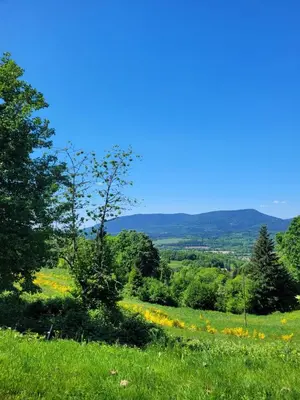 Paysage naturel près de la maison de vacances