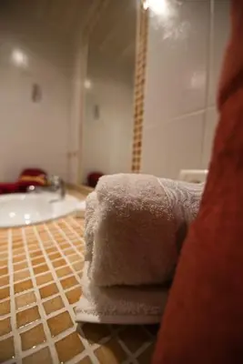Salle de bains dans l'établissement Les Chouchous du Ried 3 / Proche Europapark