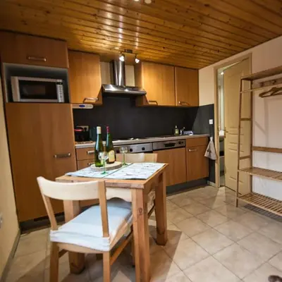 Cuisine ou kitchenette dans l'établissement Les Chouchous du Ried 3 / Proche Europapark