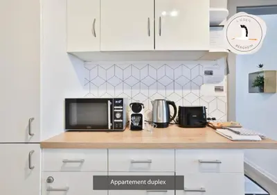 Cuisine ou kitchenette dans l'établissement Appartements duplex 3 et 4 personnes tout confort - Climatisation - Route des Vins - Centre Alsace