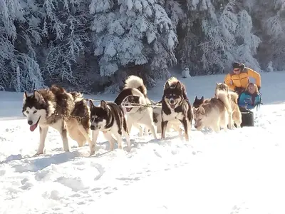 L'établissement Gîte Croc Blanc en hiver