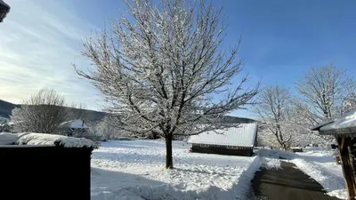 L'établissement ※ Résidence POMME DE PIN - Terrasse - Nature ※ en hiver
