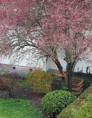 Jardin de l'établissement Appart'Hotel la Savoureuse