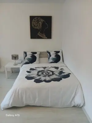 Un ou plusieurs lits dans un hébergement de l'établissement Jolie appartement