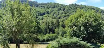 Paysage naturel près de l'appartement