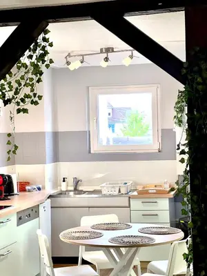 Cuisine ou kitchenette dans l'établissement Seppala charmant appartement