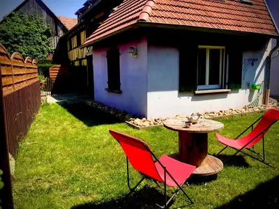 Jardin de l'établissement Gîte plain-Pied avec jardin du Centre Alsace